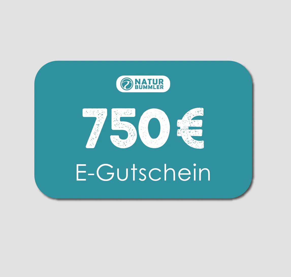 Vorschaubild 12