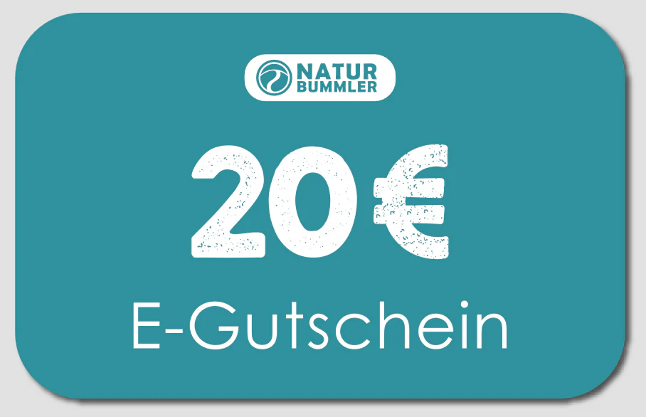 Vorschaubild 16